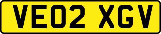 VE02XGV