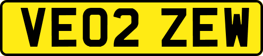 VE02ZEW