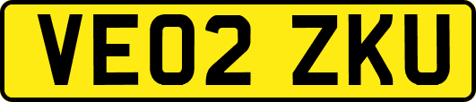VE02ZKU
