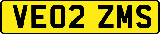 VE02ZMS