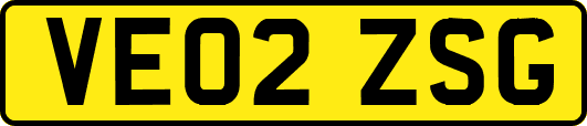 VE02ZSG