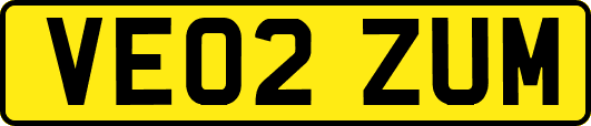 VE02ZUM