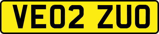 VE02ZUO
