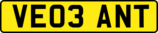 VE03ANT