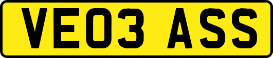 VE03ASS