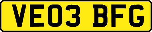 VE03BFG