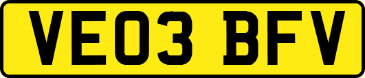 VE03BFV