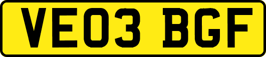VE03BGF