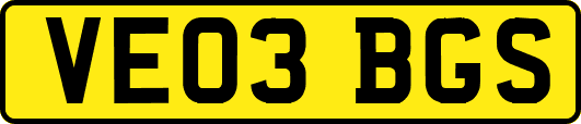 VE03BGS