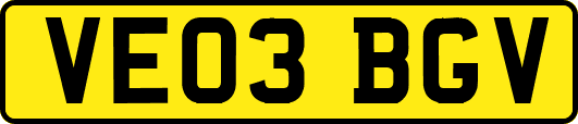 VE03BGV