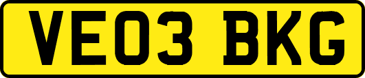 VE03BKG