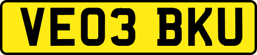 VE03BKU