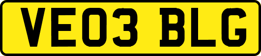 VE03BLG