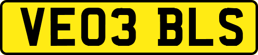 VE03BLS