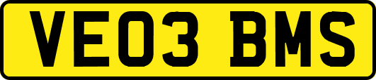 VE03BMS
