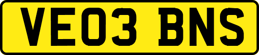 VE03BNS