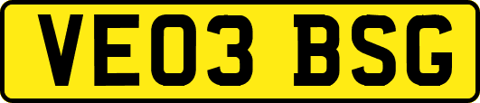 VE03BSG