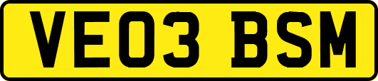 VE03BSM