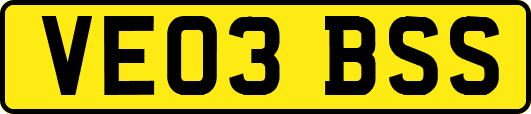 VE03BSS