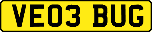 VE03BUG