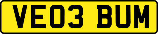 VE03BUM