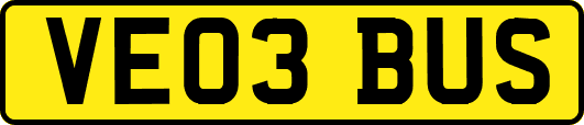 VE03BUS