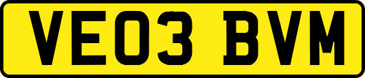 VE03BVM
