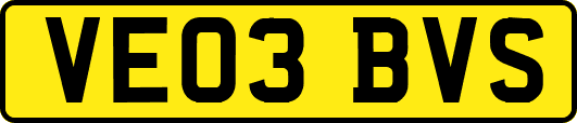 VE03BVS