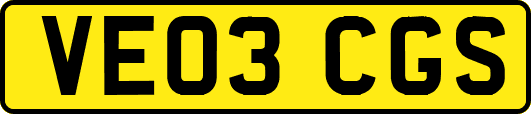 VE03CGS