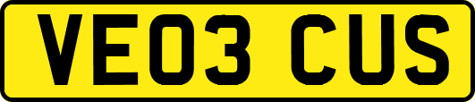 VE03CUS