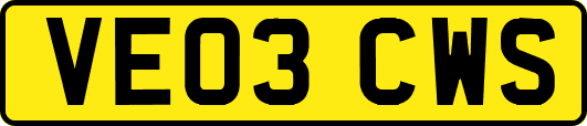 VE03CWS