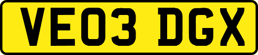 VE03DGX