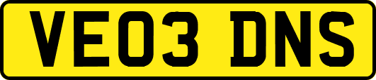 VE03DNS