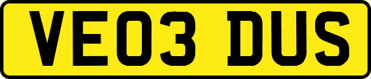 VE03DUS