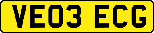 VE03ECG