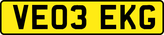 VE03EKG