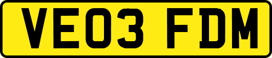 VE03FDM