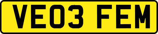 VE03FEM