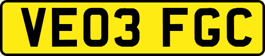 VE03FGC