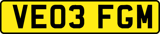 VE03FGM