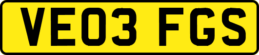 VE03FGS