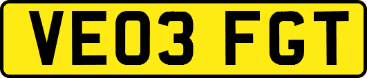 VE03FGT