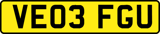 VE03FGU