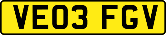 VE03FGV