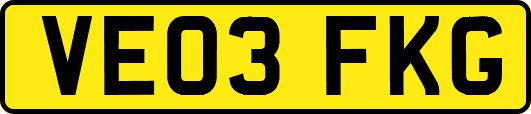 VE03FKG