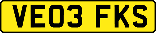 VE03FKS