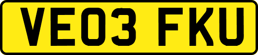VE03FKU