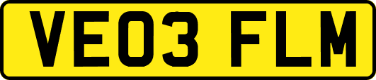 VE03FLM