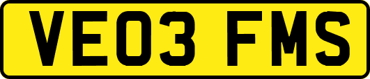 VE03FMS