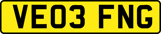 VE03FNG